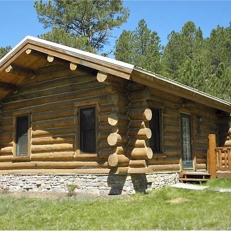 Renegade Log Cabin 卡斯特 外观 照片