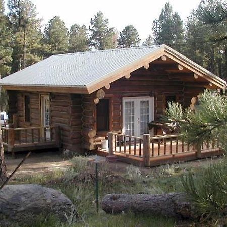 Renegade Log Cabin 卡斯特 外观 照片