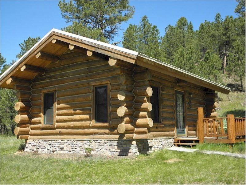 Renegade Log Cabin 卡斯特 外观 照片