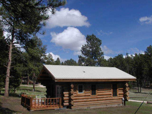 Renegade Log Cabin 卡斯特 外观 照片