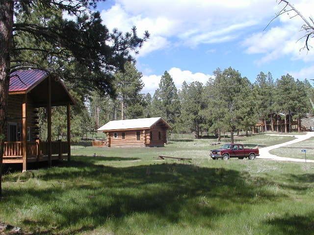 Renegade Log Cabin 卡斯特 外观 照片
